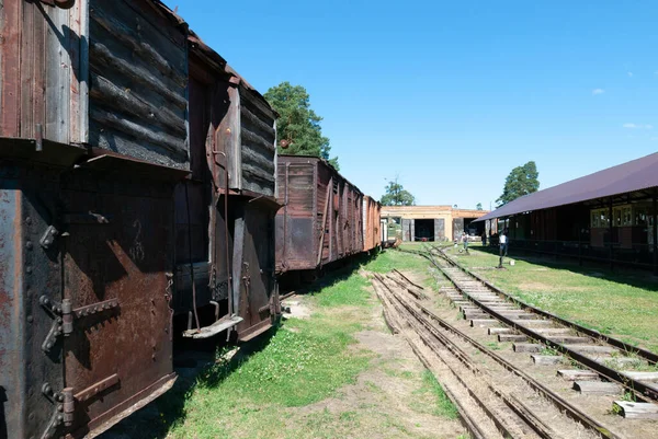 Région Yaroslavl Village Talitsy Russie Juillet 2015 Musée Ferroviaire Pereslavl — Photo