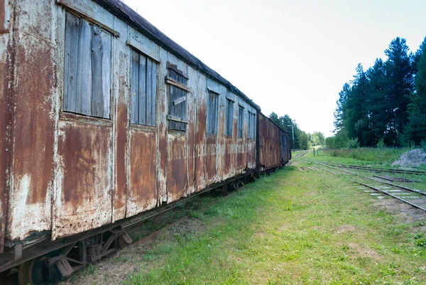 Yaroslavl Região Aldeia Talitsy Rússia Julho 2015 Museu Ferroviário Pereslavl — Fotografia de Stock