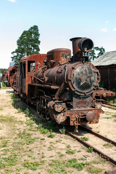 Région Yaroslavl Village Talitsy Russie Juillet 2015 Musée Ferroviaire Pereslavl — Photo