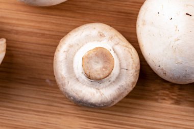 Şampiyon mantarından bir dilim makro shot. Kırsal stil.