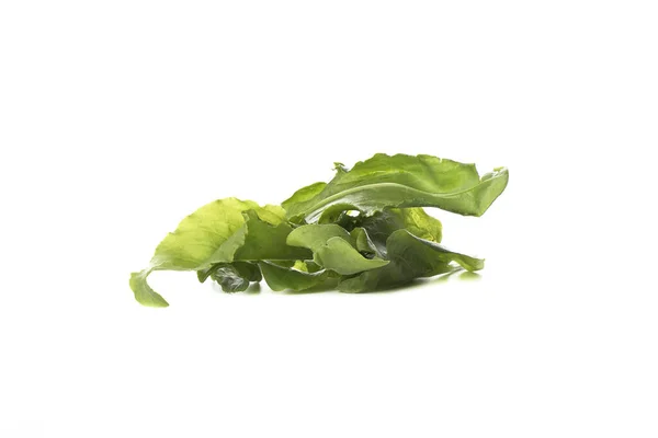 Several lettuce leaves isolated on a white background. — Stock Photo, Image