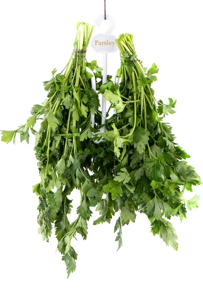 Two Bunches Parsley Hang White Hanger Inscription Two Bunches Parsley — Stock Photo, Image