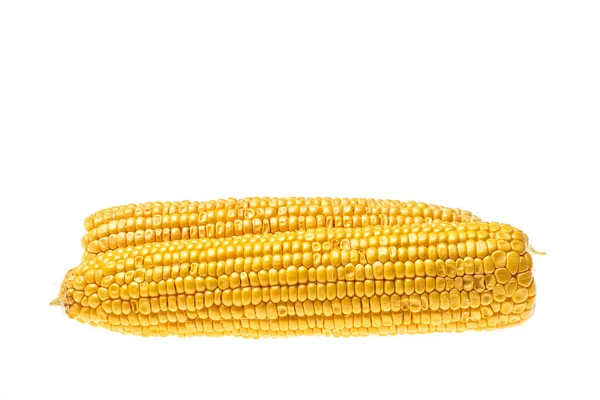 Два Кукурузных Початка Лежат Параллельно Белом Фоне Закрывай Копирование Пространства — стоковое фото