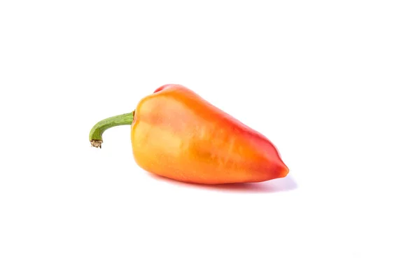 Fresh raw pepper isolated on white background. — Stock Photo, Image