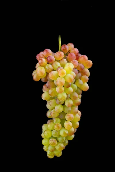 Bunch of sultana grape isolated on black background. — Stock Photo, Image