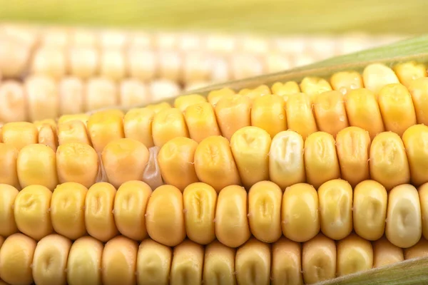 Макроснимок Кукурузного Початка Выборочный Фокус Сельский Стиль — стоковое фото