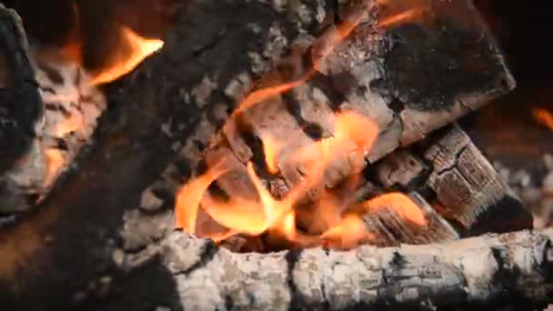 燃烧木柴和木炭 原木上的火焰 优质Fullhd影片 — 图库视频影像
