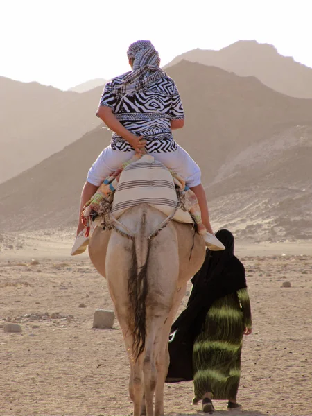 Jízdy Velbloudech Poušti Sahara Hory Beduínskými Berbery — Stock fotografie