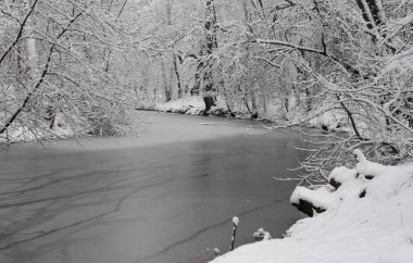 Kış manzarası. Karla kaplı ağaçlar parkta Kuzminki Moskova.