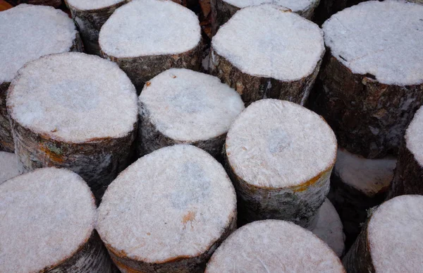 Birch Logs Sprinkled Snow — Stock Photo, Image