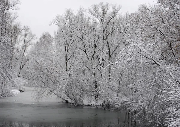 Paisagem Inverno Árvores Cobertas Neve Parque Kuzminki Moscou — Fotografia de Stock