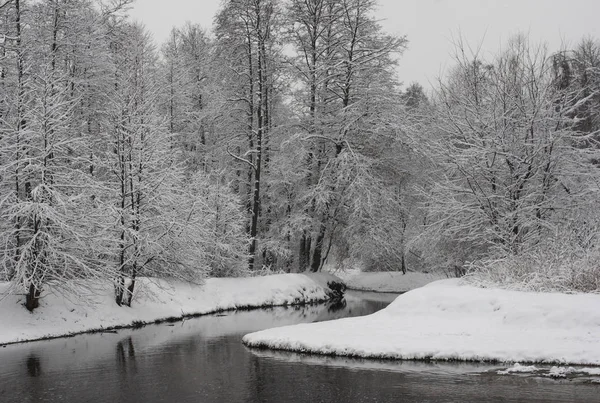 Paisagem Inverno Árvores Cobertas Neve Parque Kuzminki Moscou — Fotografia de Stock