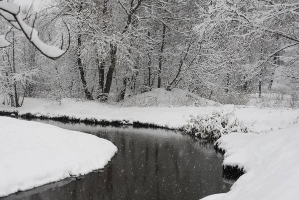 Paisaje Invernal Árboles Cubiertos Nieve Parque Kuzminki Moscú — Foto de Stock
