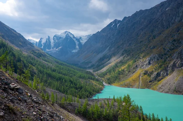 Paesaggio Montano Lago Shavlinsky Nella Repubblica Altai — Foto Stock