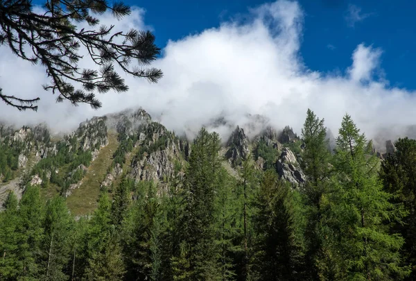 Paisaje Montaña Nube Cima Montaña República Altai — Foto de Stock