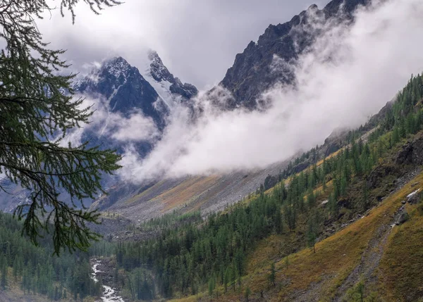 Paisaje Montaña Río Montaña República Altai — Foto de Stock