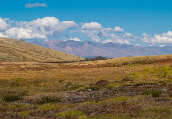 Berglandschaft Der Republik Altai — Stockfoto