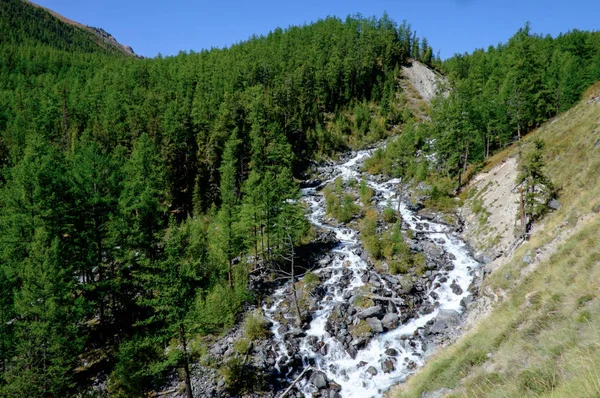 Paisaje Montaña Río Montaña República Altai — Foto de Stock