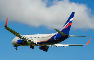 Sheremetyevo, Moscow Region, Rusya Federasyonu - 28 Haziran 2017: Boeing 737-800 Aeroflot havayolları Sheremetyevo Uluslararası Havaalanı'nda bir iniş yapar.