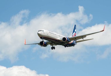 Sheremetyevo, Moscow Region, Rusya Federasyonu - 28 Haziran 2017: Boeing 737-800 Aeroflot havayolları Sheremetyevo Uluslararası Havaalanı'nda bir iniş yapar.