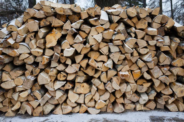 Yakacak Odun Yakın Çekim Altında Kar Yığını - Stok İmaj