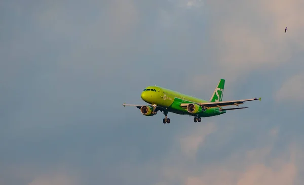 July 2018 Russia Moscow Aircraft Airbus A320 Airlines Landing Domodedovo — Stock Photo, Image