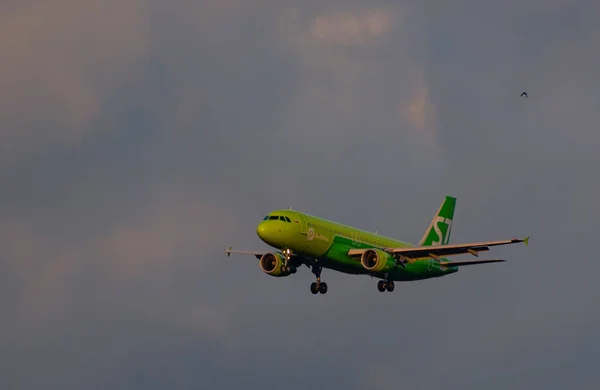 July 2018 Russia Moscow Aircraft Airbus A320 Airlines Landing Domodedovo — Stock Photo, Image