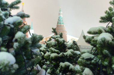 Tarih Müzesi ve Kremlin arka plan üzerinde Noel ağaçları Manezh Meydanı Moskova '