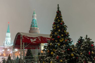 Tarih Müzesi ve Kremlin arka plan üzerinde Noel ağaçları Manezh Meydanı Moskova '