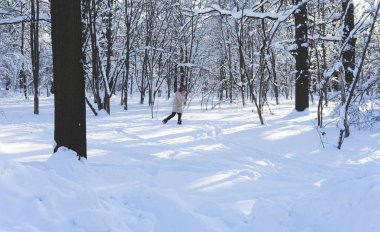 Açık bir gün batımında karla kaplı bir parkta yaşlı kayakçı