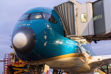 29 Ekim 2019, Moskova, Rusya. Uçak Airbus A350-900 Vietnam Havayolları, Moskova Sheremetyevo Havaalanı.