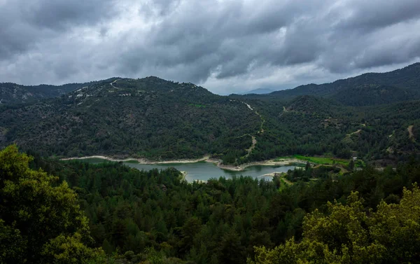 Colinas Verdes Cobertas Floresta Brilhante Dia Verão Ensolarado Nas Montanhas — Fotografia de Stock