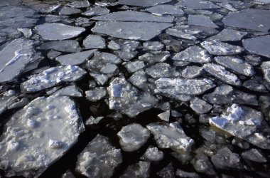 Güneşli bir günde Moskova nehrinde bahar buzu sürükleniyor.