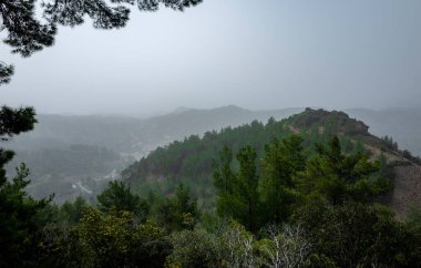 Orta Kıbrıs dağlarında güneşli bir yaz gününde ormanla kaplı yeşil tepeler.