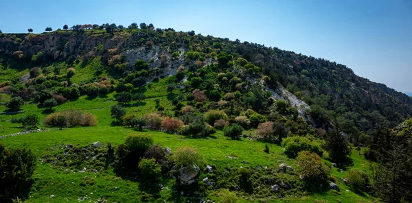 Vízi Rétek Dombok Földközi Tenger Partján Sziget Ciprus — Stock Fotó
