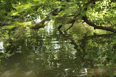 Old Building in India