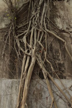 Old Building in India