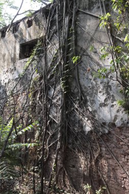 Old Building in India