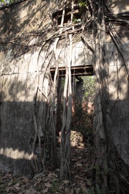 Old Building in India