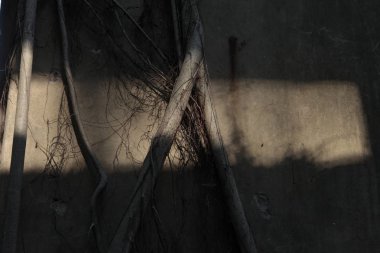 Old Building in India