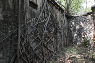 Old Building in India