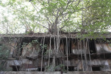 Old Building in India