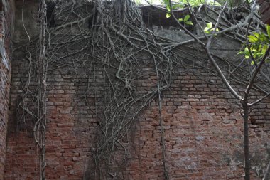 Old Building in India
