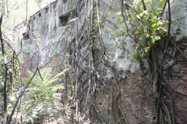 Old Building in India