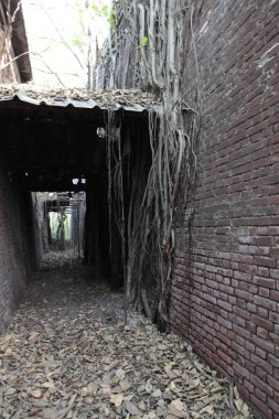 Old Building in India