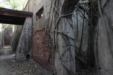 Old Building in India