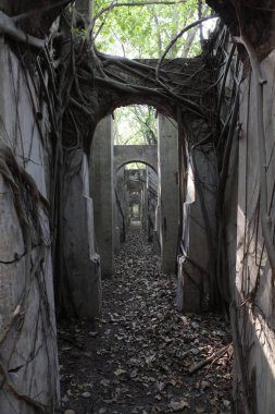 Old Building in India