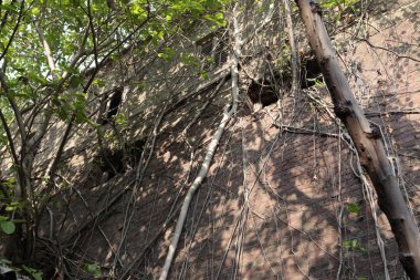 Old Building in India