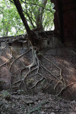 Old Building in India