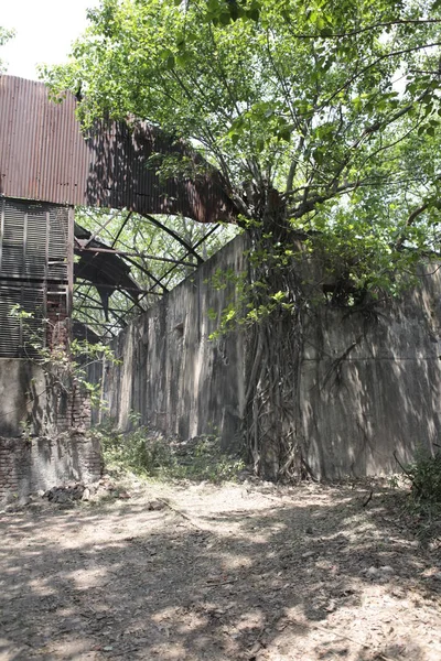 Old Building India — Stock Photo, Image